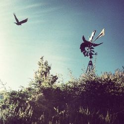 flying