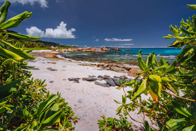 Scenic view of beach against sky