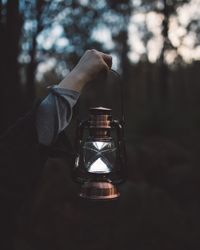 Cropped image of person holding lantern in forest