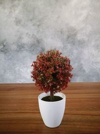 Close-up of flower pot on table