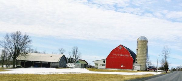 Houses by bare trees against sky during winter