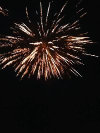 Low angle view of firework display at night