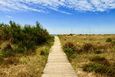 Empty boardwalk amidst plants on land against sky