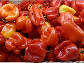 Full frame shot of bell peppers for sale
