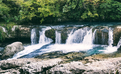 Scenic view of waterfall in forest
