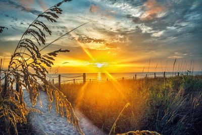 Scenic view of sunset over sea