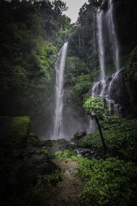 View of waterfall in forest