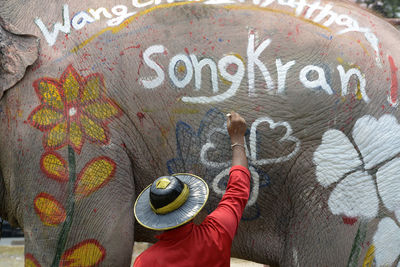 Rear view of man painting on elephant