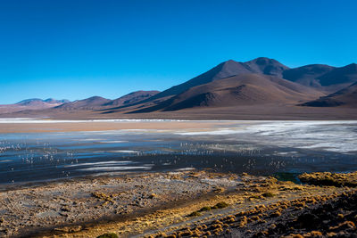 Scenic view of snowcapped mountains against clear blue sky