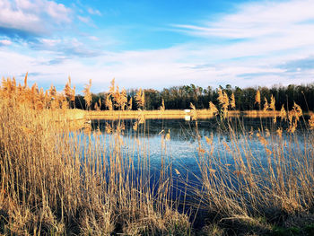 Scenic view of lake against sky