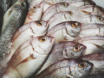 Close-up of fish for sale in market