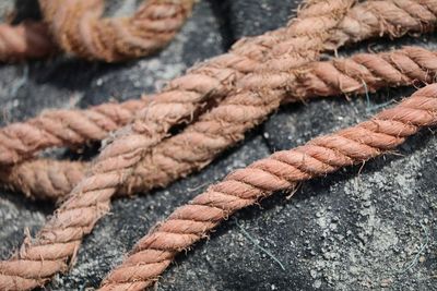 Close-up of ropes on rock