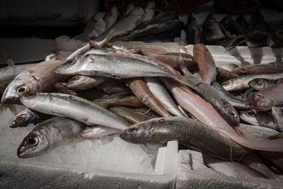 Close-up of fish for sale in market