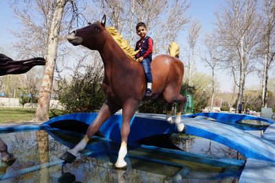 Man riding horse