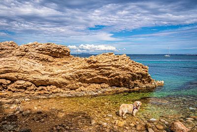 Portal vells beach on a beautiful summer day, mallorca, spain