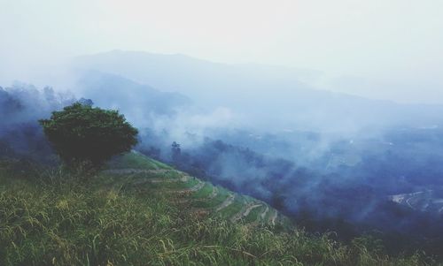 Scenic view of landscape against sky during foggy weather