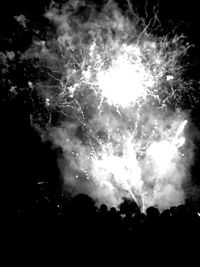 Low angle view of trees against sky