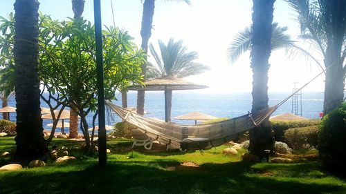 Panoramic shot of palm trees at beach against sky