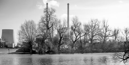 Bare trees by river against sky