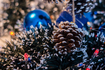 Close-up of christmas tree