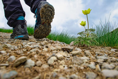Mountain trail with shoe detail walking near a flower