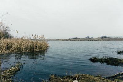 Scenic view of lake against clear sky