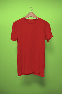 Red umbrella hanging against green background