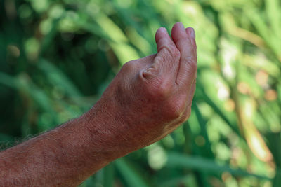 Close-up of hand against blurred background