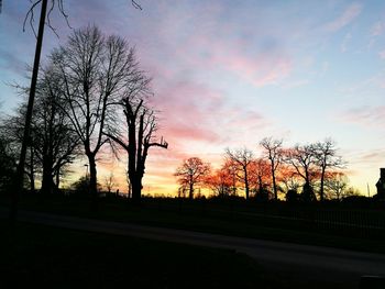 Silhouette trees against sky during sunset