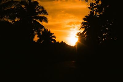 Silhouette trees against sky at sunset