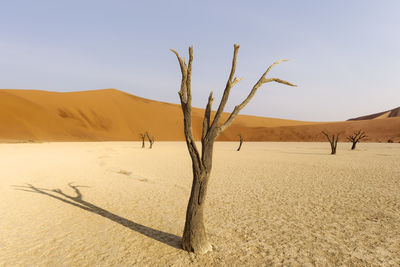 Scenic view of desert against clear sky