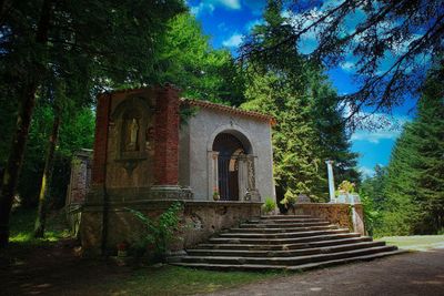 Low angle view of staircase amidst trees in forest against sky