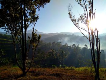 Scenic view of trees and mountains against sky