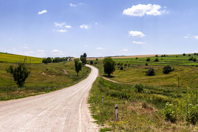 Road amidst green landscape