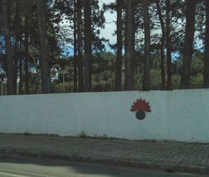 Trees growing on field in forest against sky