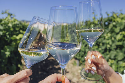 Close-up of hand holding wineglass