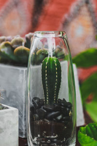 Close-up of drink in glass jar