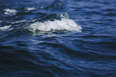 View of swimming in sea