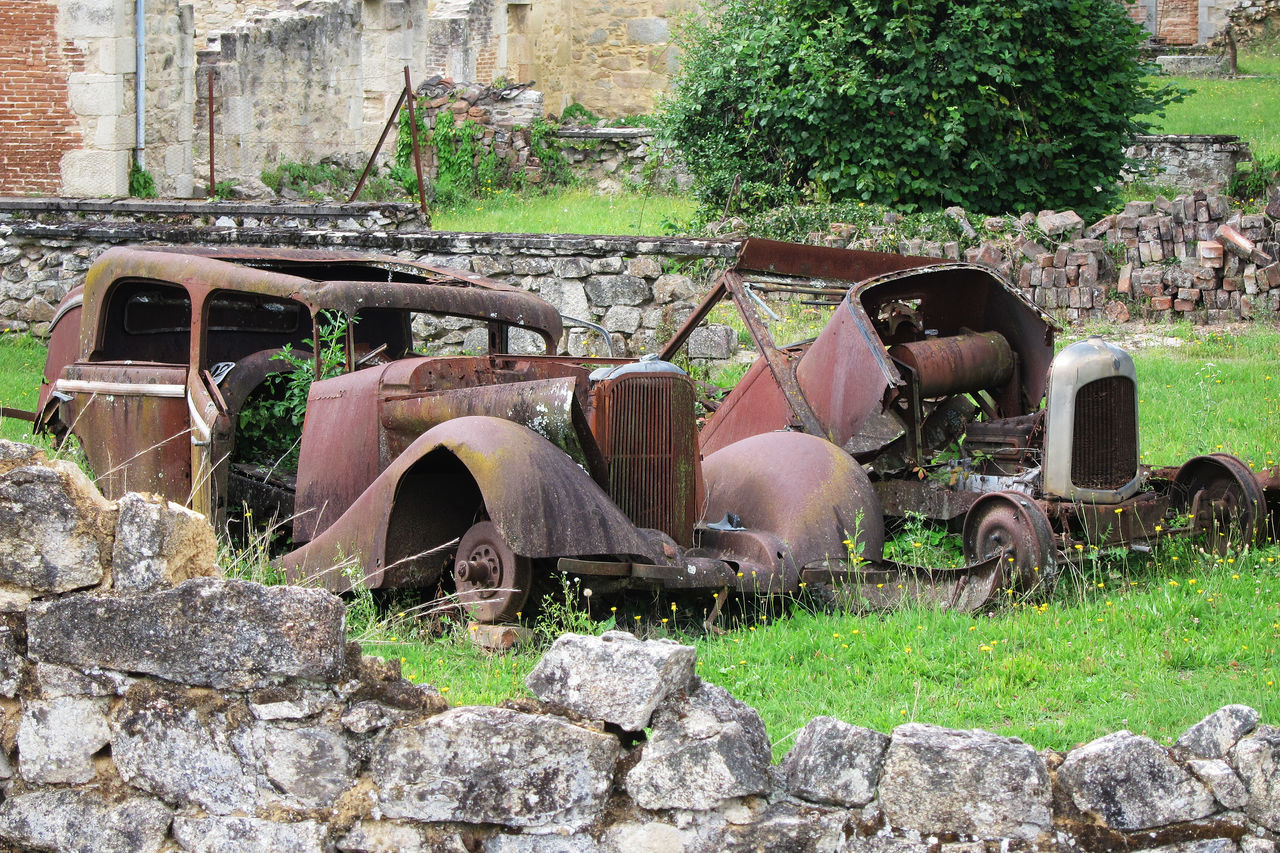 OLD ABANDONED CAR BY TREES