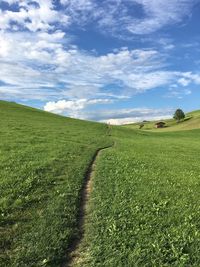 Scenic view of field against sky