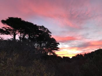 Silhouette trees on field against romantic sky at sunset