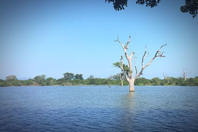 Scenic view of lake against clear blue sky