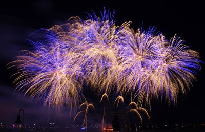 Low angle view of firework display at night