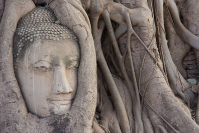 Close-up of buddha statue