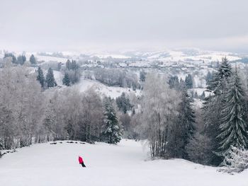 Skier going down the slope surrounded by coniferous forest and mountains covered in snow