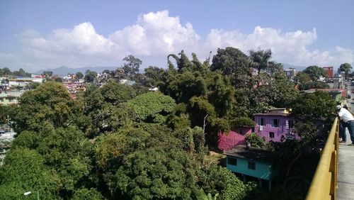 Trees and houses against sky