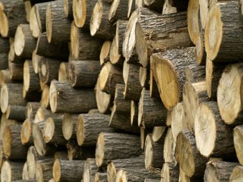 Stack of logs