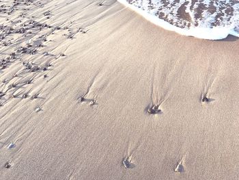 High angle view of sand at beach