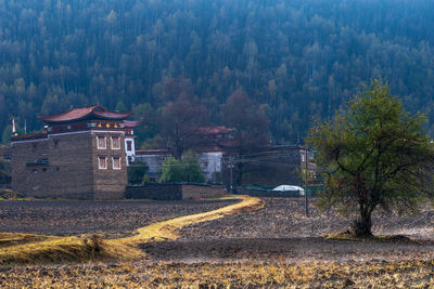 Trees and houses