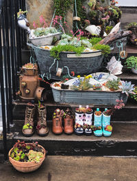 Potted plants for sale at market